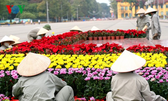 Spring flowers blossoming around Hanoi Lake - ảnh 9